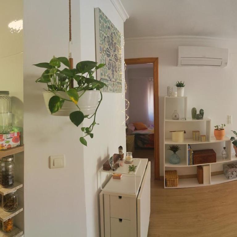 La Caseta de Oliva - Casa Unifamiliar de 2 dormitorios - 1