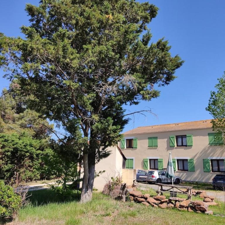 Les terrasses de la piscine - Appartement 1 Chambre - 23