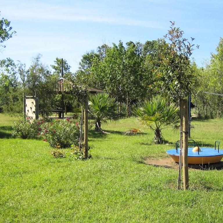 Les terrasses de la piscine - Appartement 1 Chambre - 22