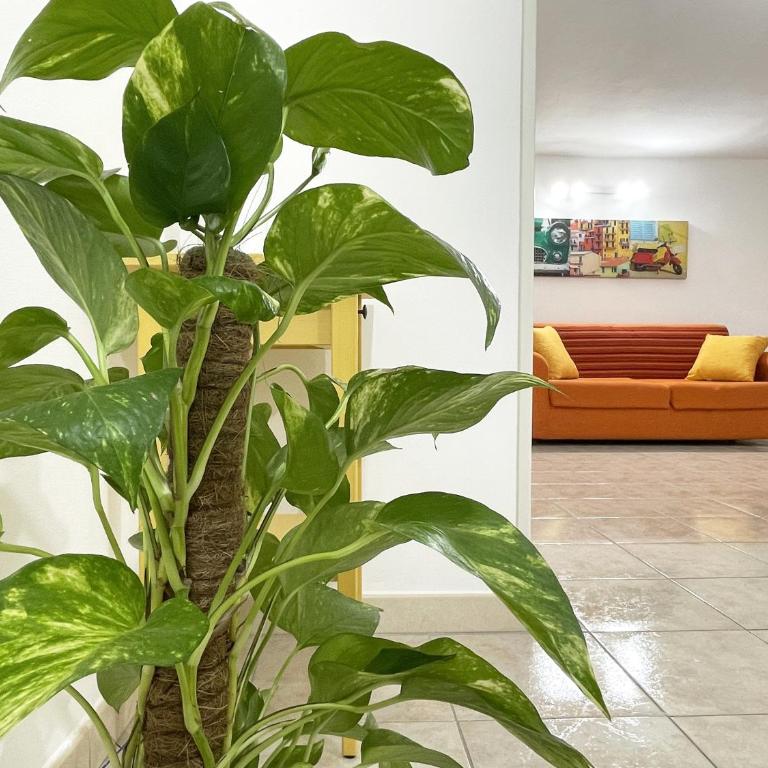 Dora's Home - Appartamento con 1 Camera da Letto - 15