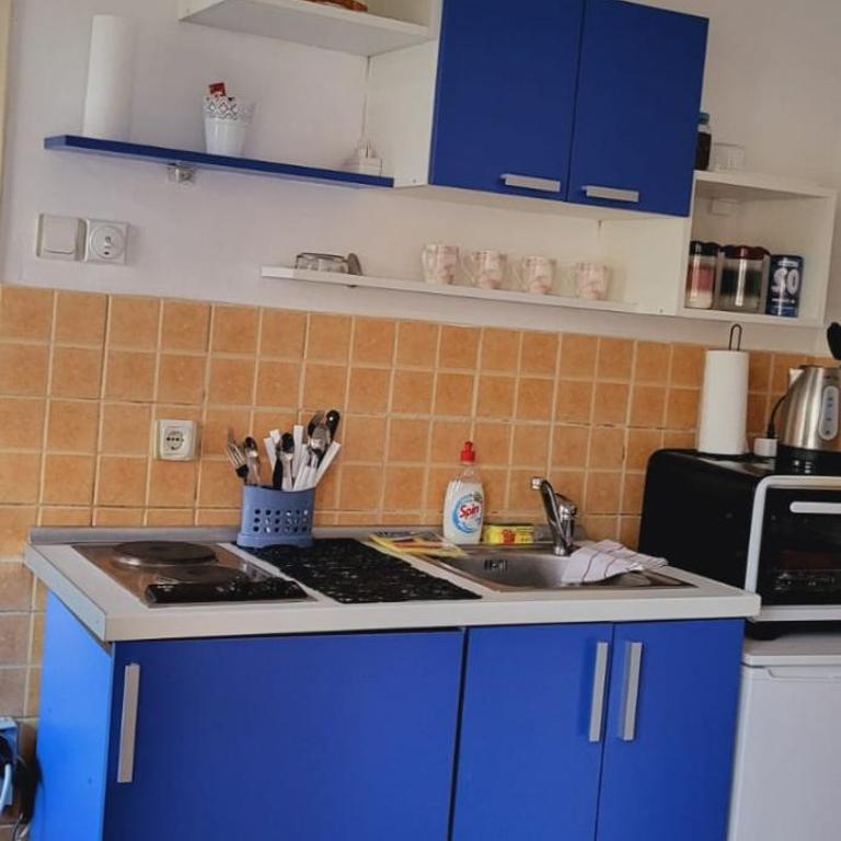 Apartman Ana - Apartman sa 1 Spavaćom Sobom - 6