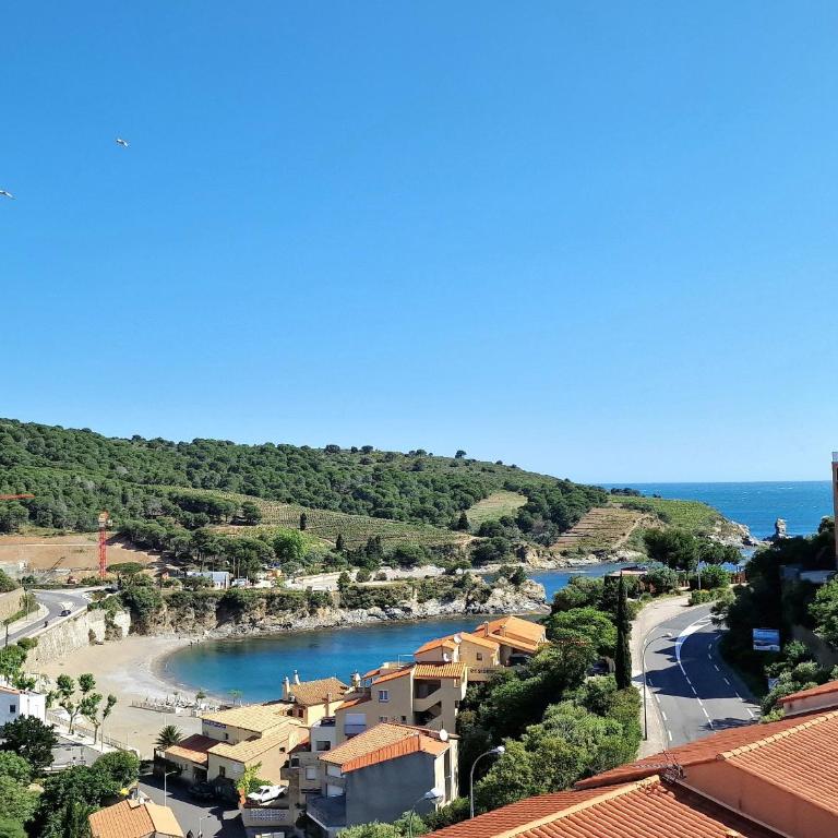 Appartement T3 à Banyuls-sur-Mer, proche plage - FR-1-309-523 - Appartement 2 Chambres - 1