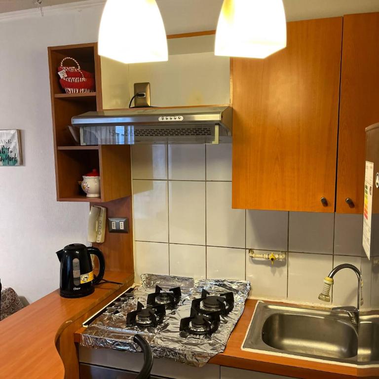 Moderno Apartamento Full Equipado Santiago Centro - Apartment - 87