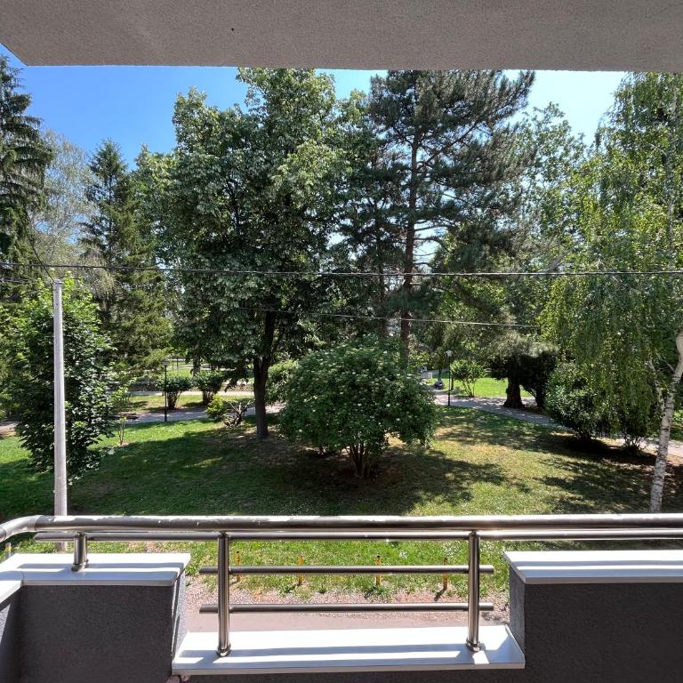 Na Banjici - Apartman sa 1 Spavaćom Sobom - 8