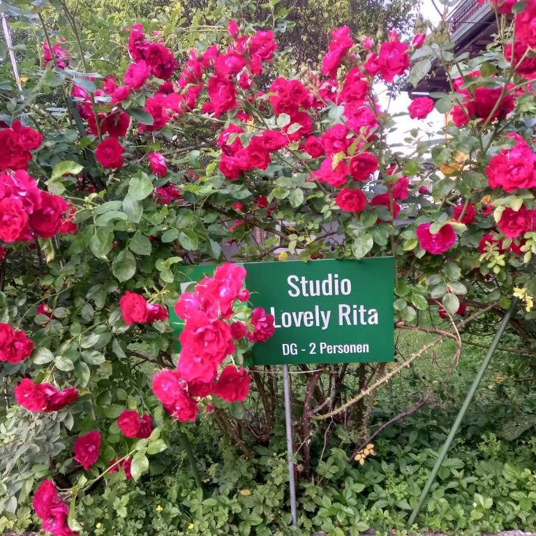 Lovely Rita Studio, modern Studio - balcony and mountain view - center Kaprun - Studio-Apartment - 27