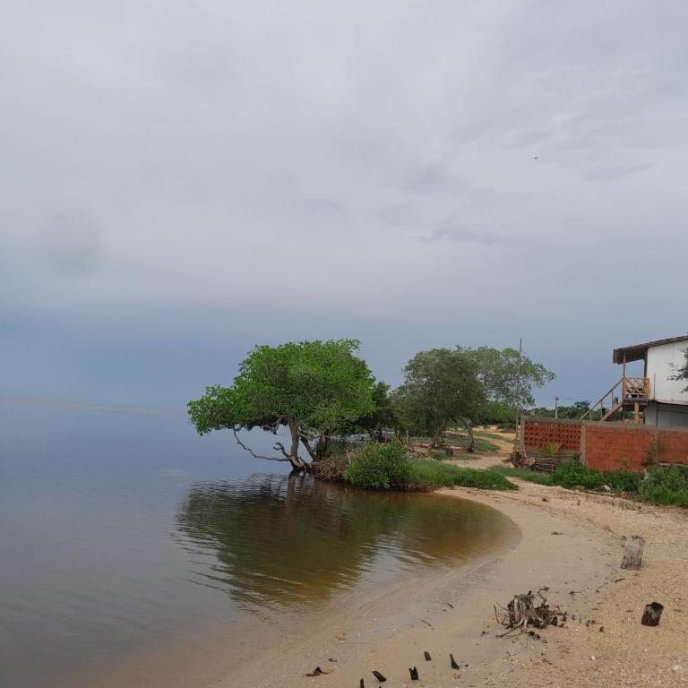 Cabaña Barbacoas - Two-Bedroom House - 12