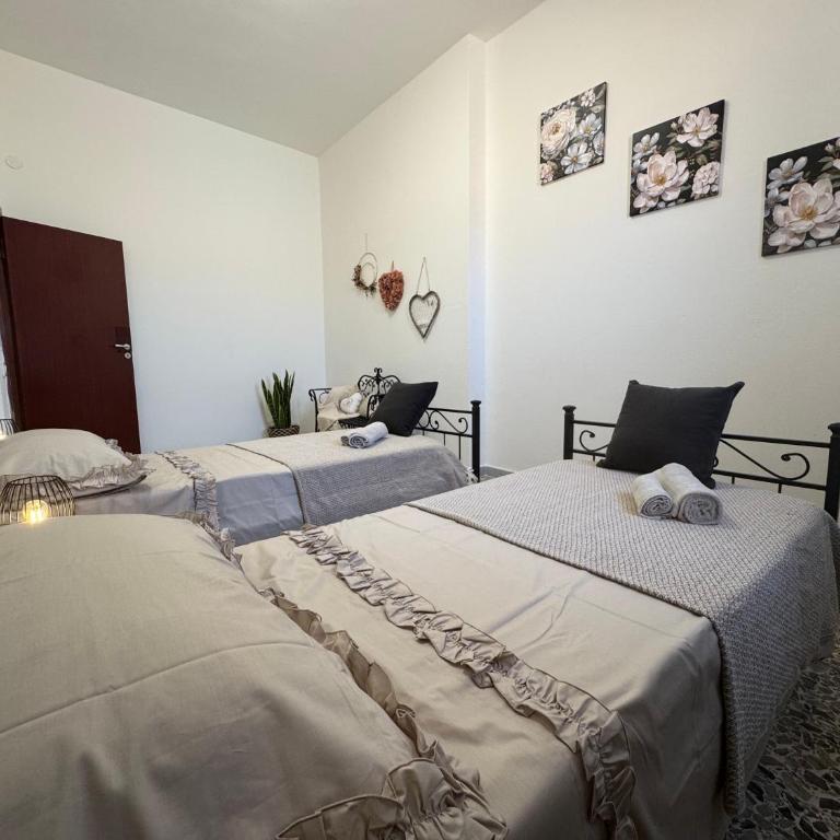 DI CARLO 2 Guest House - Apartment - 12