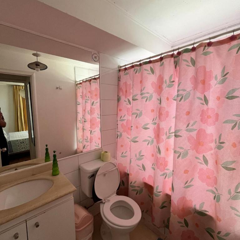 Moderno Apartamento Full Equipado Santiago Centro - Apartamento - 94