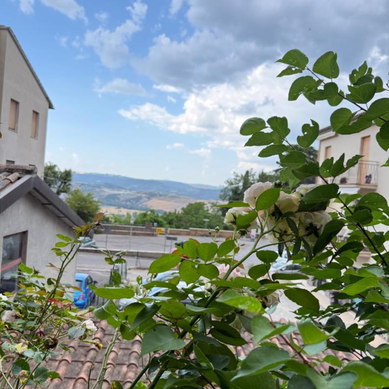 Bed & Coffee Private Parking - Appartamento Superior con 2 Camere da Letto - 20