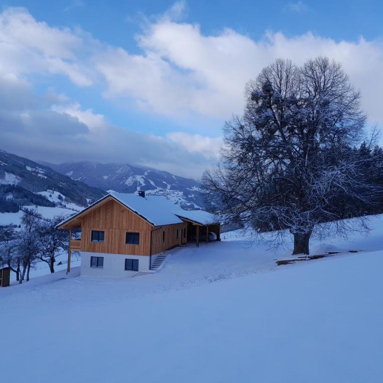 Naturchalet Forster - Apartment mit 2 Schlafzimmern und Balkon - 14