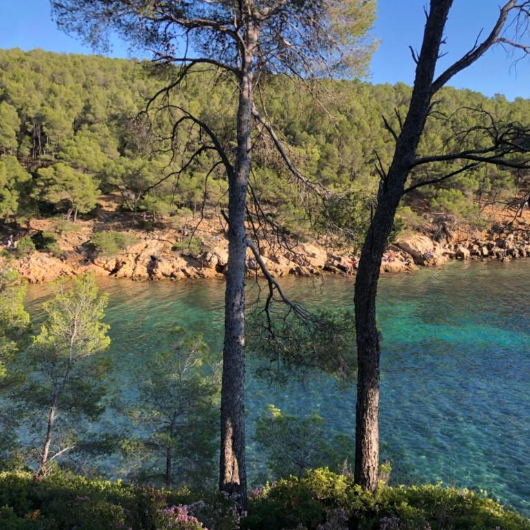 A la ciotat très beau studio vue mer 28m2 climatisé Horizons Marins - Appartement 1 Chambre - 11