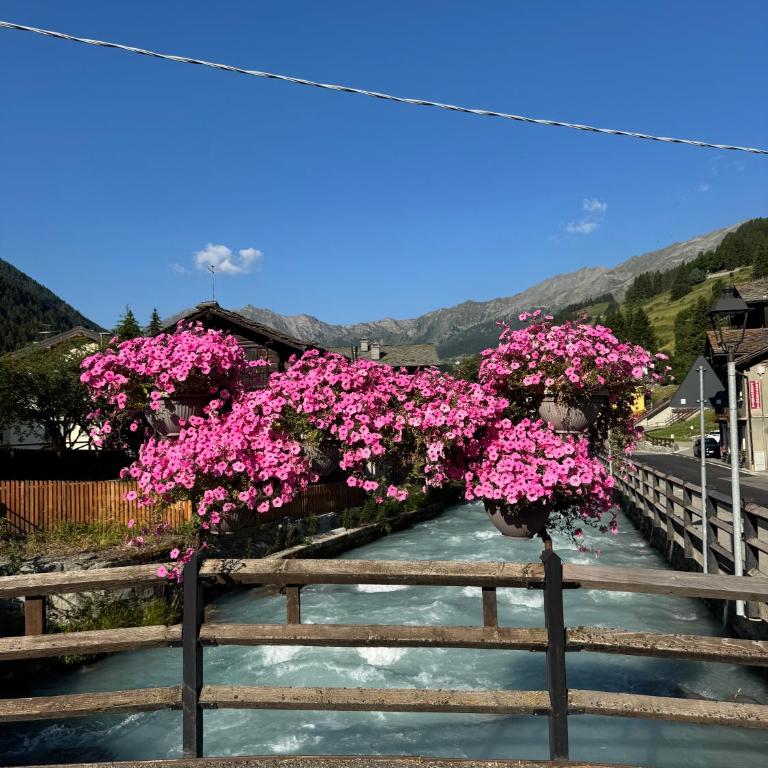Grande Maison Du Coeur Champoluc Spa,Gym e Aree Relax - Two-Bedroom Apartment - 12