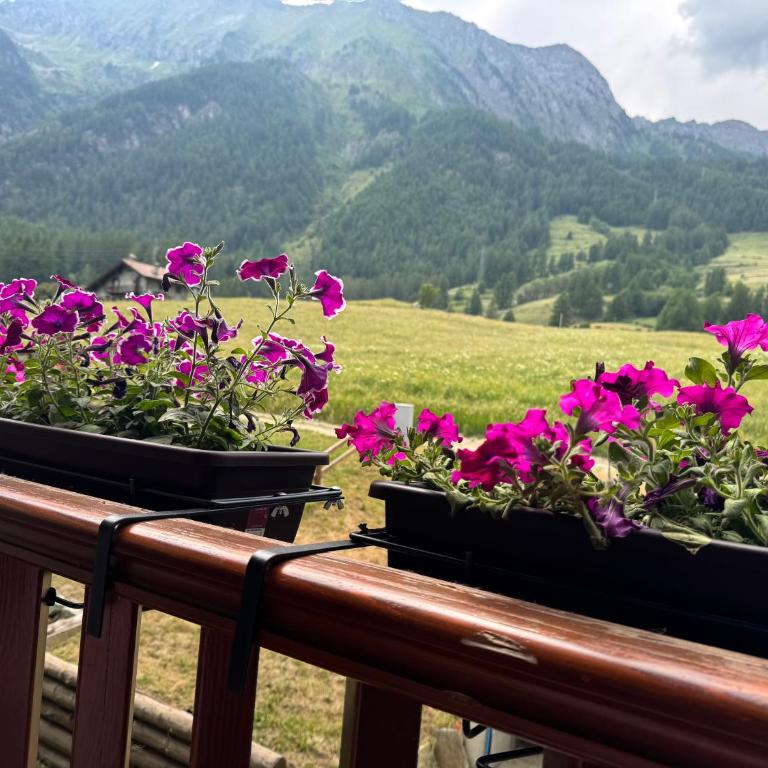 Grande Maison Du Coeur Champoluc Spa,Gym e Aree Relax - Two-Bedroom Apartment - 2