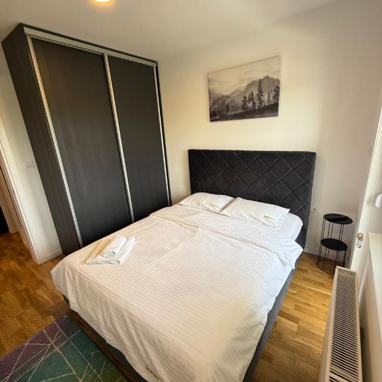 Kovan Lux 9 Sokobanja - Apartman sa 1 Spavaćom Sobom - 5