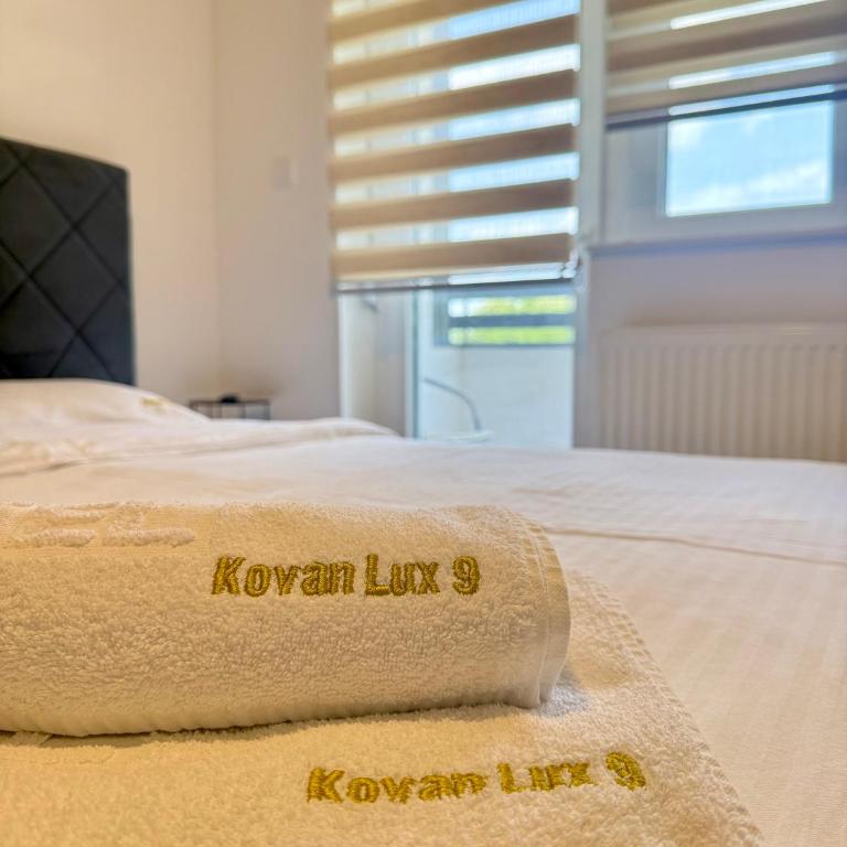 Kovan Lux 9 Sokobanja - Apartman sa 1 Spavaćom Sobom - 22