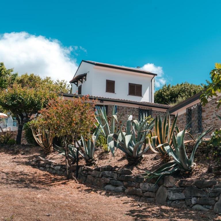 La Mandrolla - Overlooking Trentova Bay - Appartamento con 1 Camera da Letto - 16