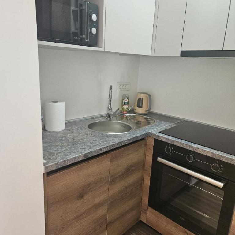 River Panorama Sarajevo - Apartman sa 1 Spavaćom Sobom - 16