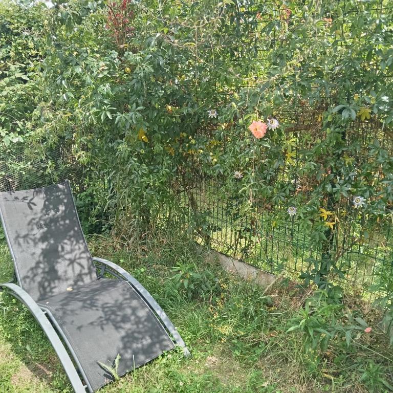 T2 lumineux refait à neuf, au calme, jardin partagé - Appartement 1 Chambre - 11
