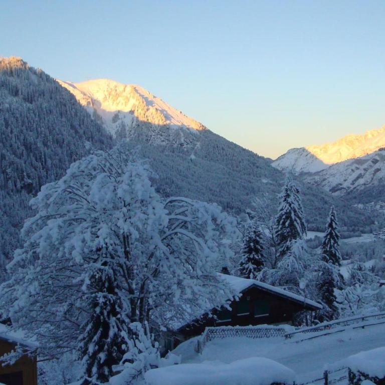 Chalet 5 pièces, 4 chambres, animaux admis, parking - FR-1-676-223 - Apartment - 18