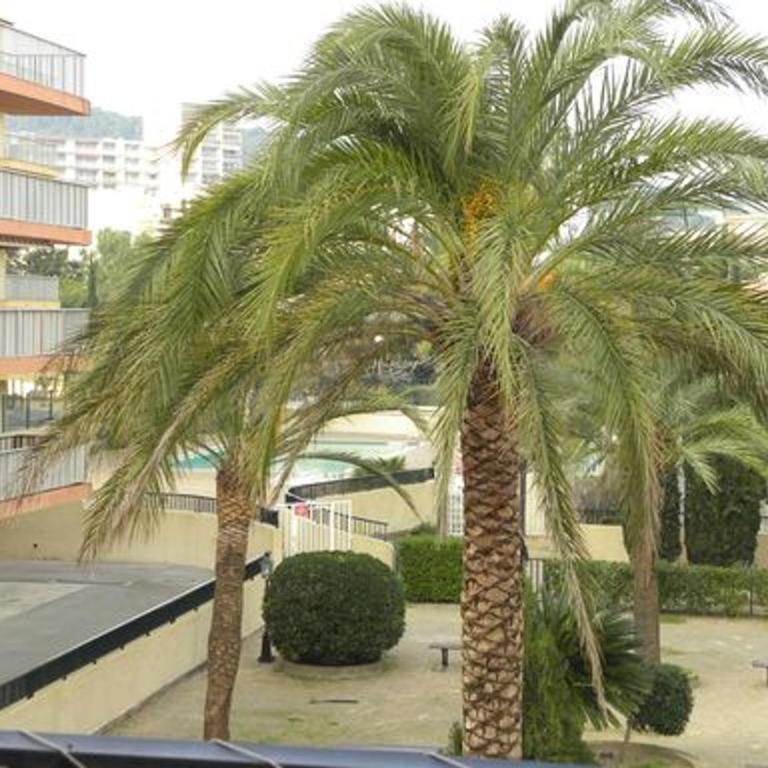Appartement 3 pièces avec piscine et parking à Sainte-Maxime - FR-1-780-56 - Apartamento - 24
