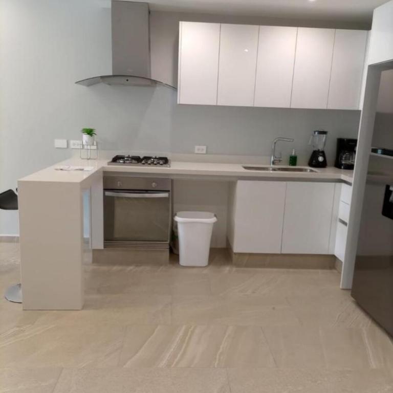 Hermoso Departamento en PDC - Apartamento de 1 dormitorio - 18