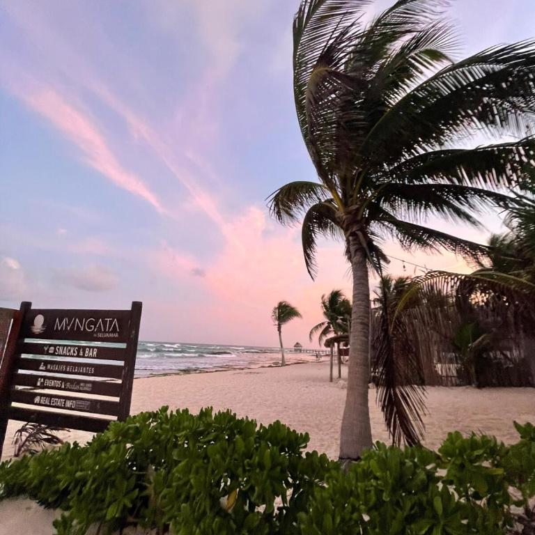 Hermoso Departamento en PDC - Apartamento de 1 dormitorio - 22