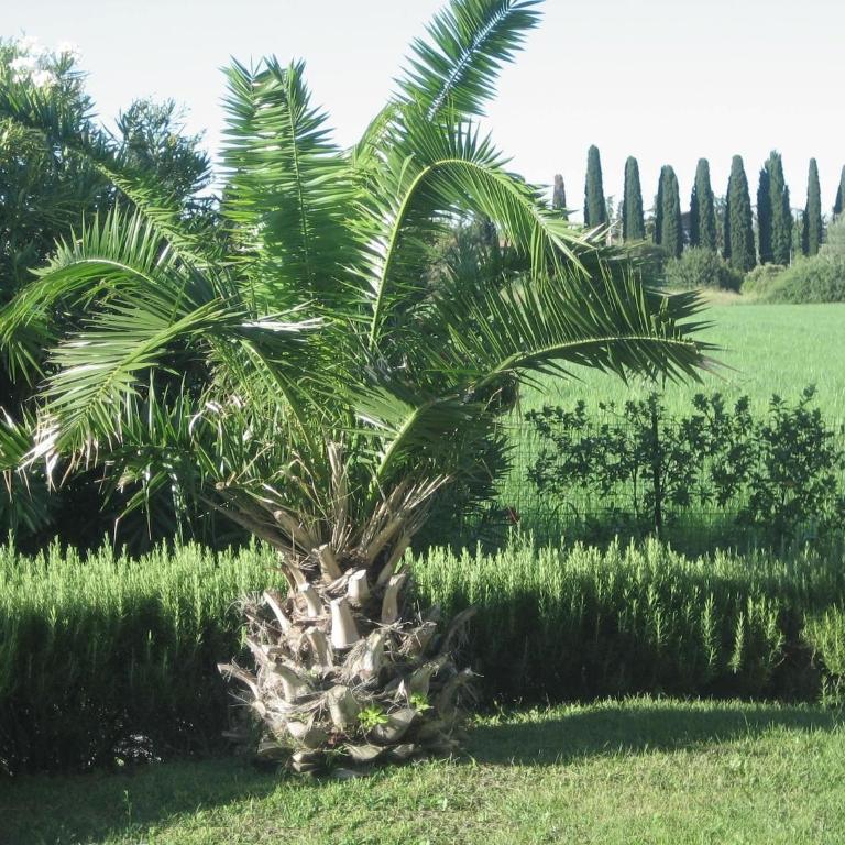 Holiday home with Nicely Decorated Interior near lake Garda - Casa Vacanze con 2 Camere da Letto - 6