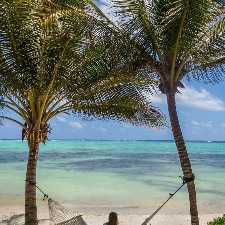 New 3BR Private Beachfront Villa with Pool at Soliman - Villa - 29