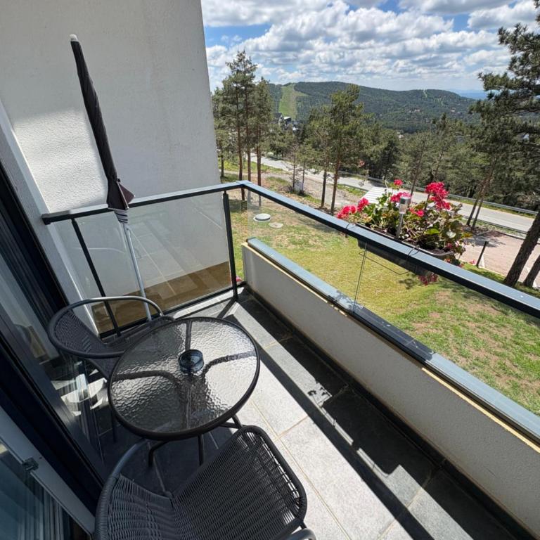 Divčibarski pogledi - Apartman s 1 Spavaćom Sobom i Balkonom - 2
