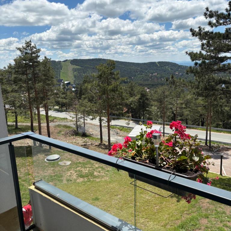 Divčibarski pogledi - Apartman s 1 Spavaćom Sobom i Balkonom - 1
