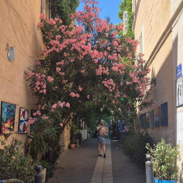 Plein coeur du Panier avec terrasse 2 à 4 personnes arrivée avant 19h - Appartement 1 Chambre - 37