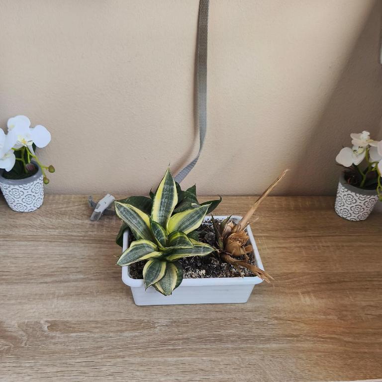 Apartamento nuevo con parking y piscina gratis - One-Bedroom Apartment - 25