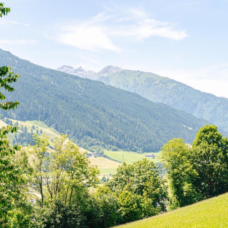 Pension Schlossberg - Doppelzimmer mit Terrasse und Aussicht - 12