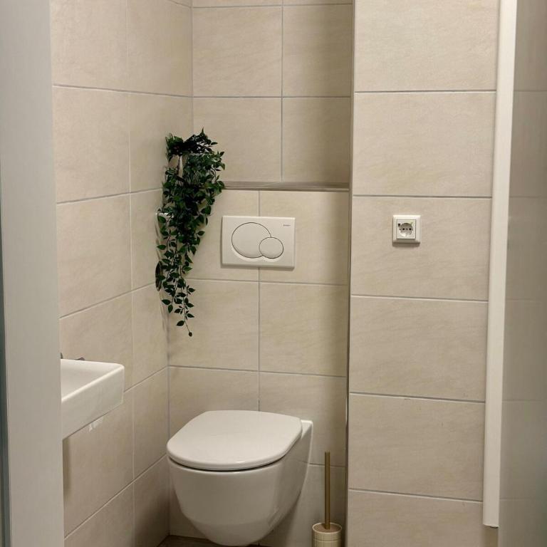 Spacious Design Apartment Würzburg Altstadt I FREE WINE AND COFFEE - Apartment mit 2 Schlafzimmern - 14