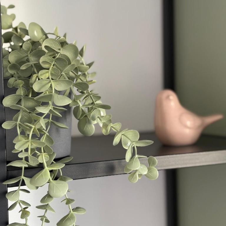 Brev Guest House - Appartamento Standard - 22
