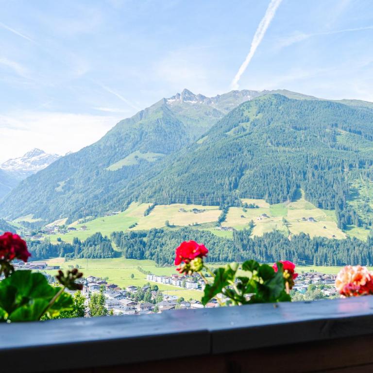 Pension Schlossberg - Apartment mit Balkon - 3