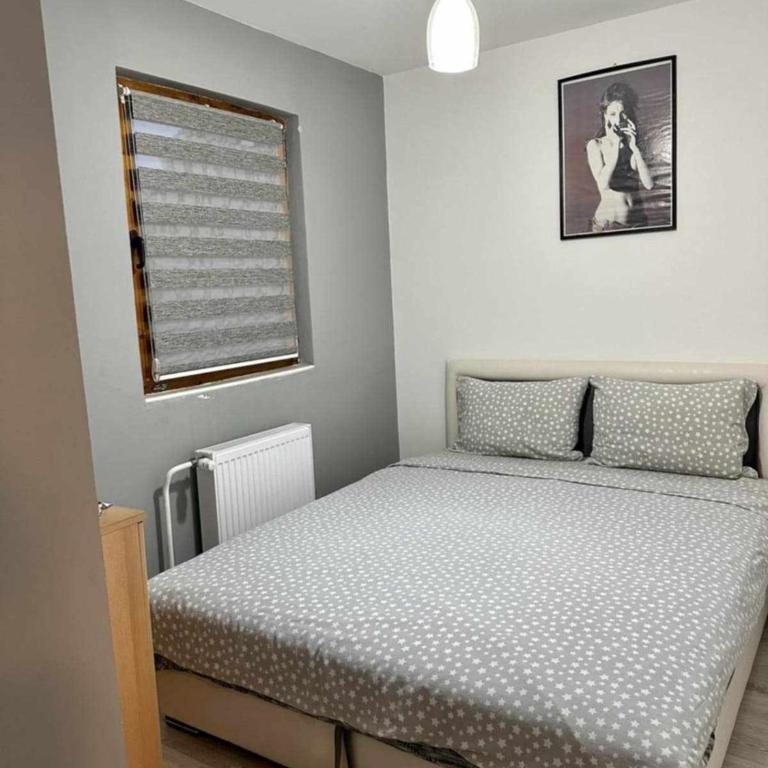 Apartmani Miodragović - nedaleko od Snežnika, 100 metara pre bazena - Apartman sa 2 Spavaće Sobe - 6