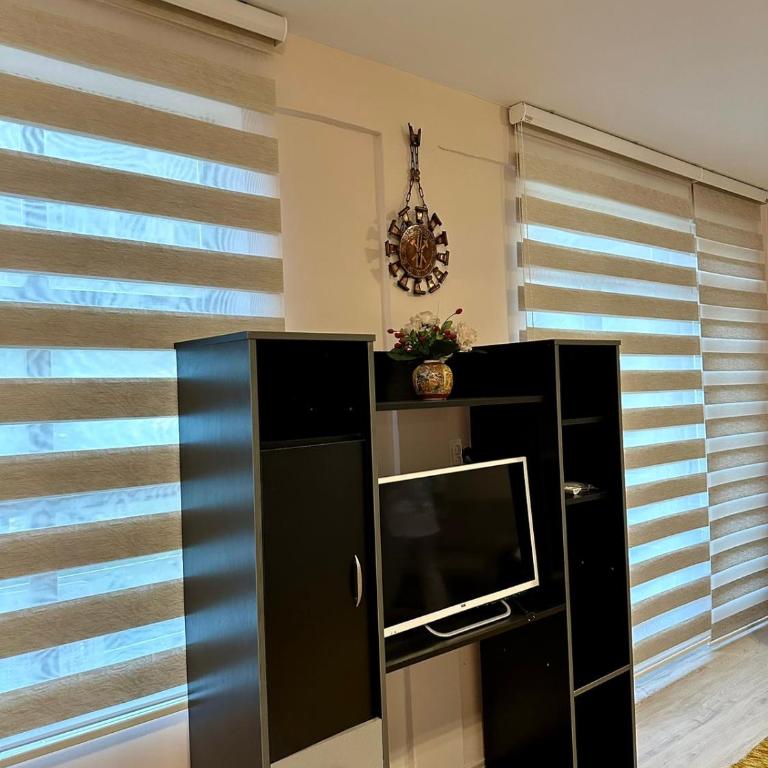 Apartmani Miodragović - nedaleko od Snežnika, 100 metara pre bazena - Apartman sa 1 Spavaćom Sobom - 5