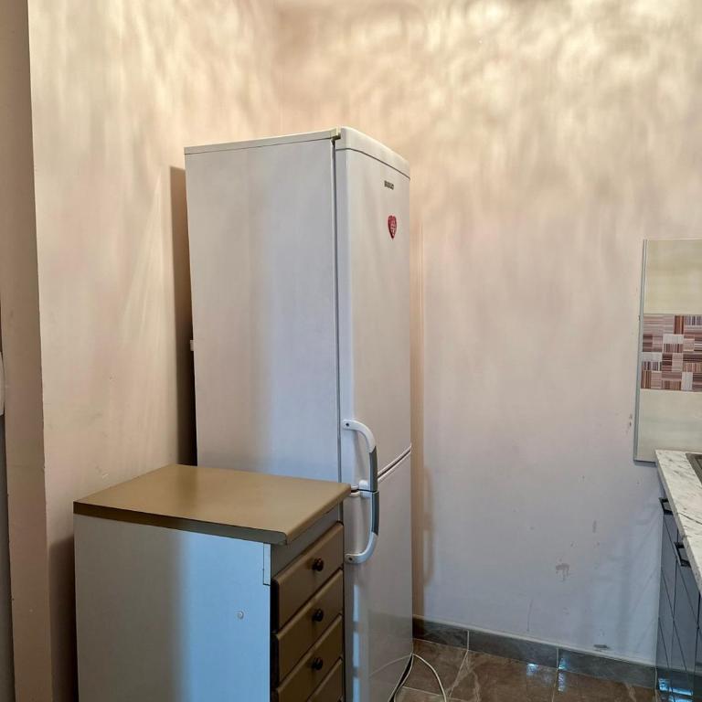 Apartmani Miodragović - nedaleko od Snežnika, 100 metara pre bazena - Apartman sa 1 Spavaćom Sobom - 13