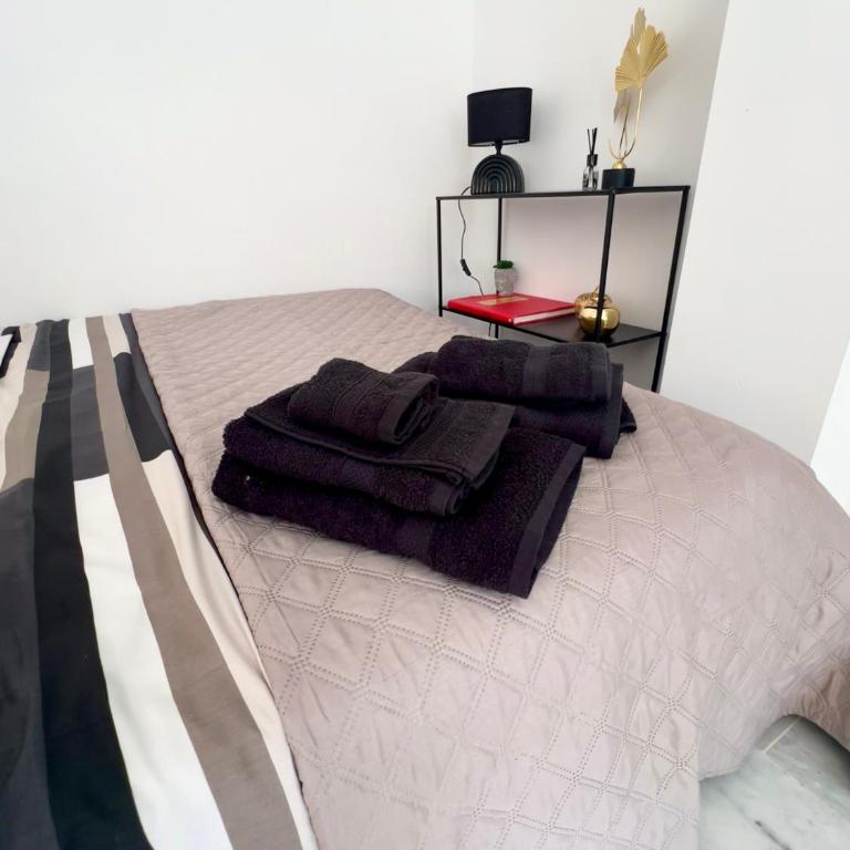 studio luxueux - Appartement 1 Chambre - 9