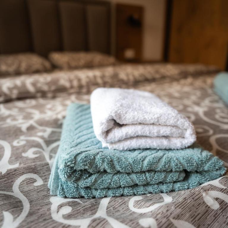 Apartman Zlatibor 30 Wellness & Spa - One-Bedroom Apartment - 8