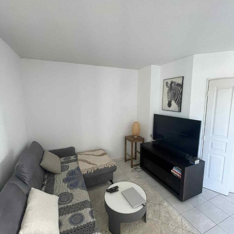 Superbe appartement à Lyon8 avec 2 balcons - One-Bedroom Apartment - 1