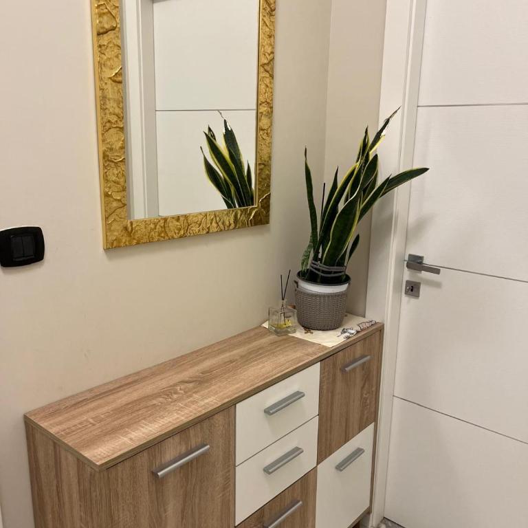 Bilocale: 5 minuti dall'Ariston - Appartement 2 Chambres - 22