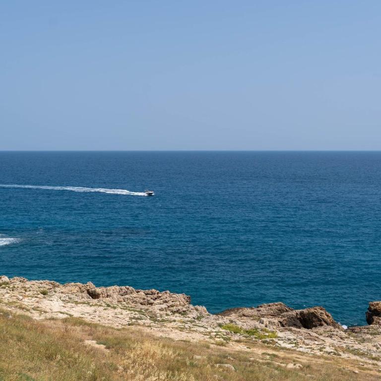 WePuglia - Arimondi 10 - Studio - 14