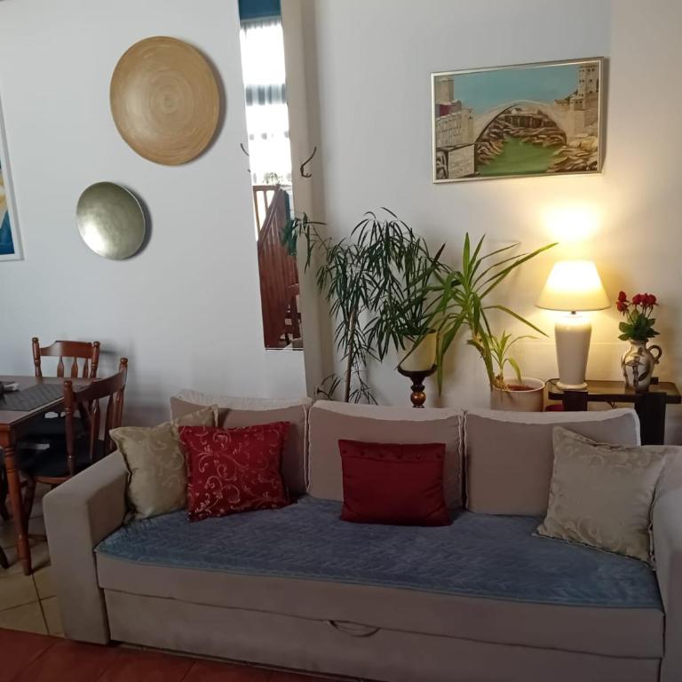 Green Lily Apartments - Apartment - 29