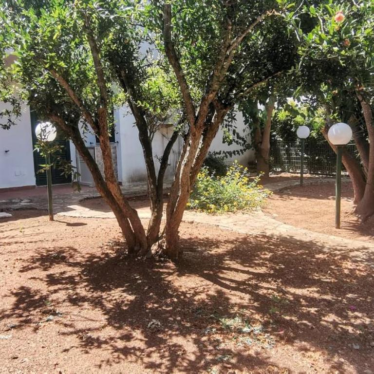 Villette Mar Ionio - Casa con 2 Camere da Letto - 11