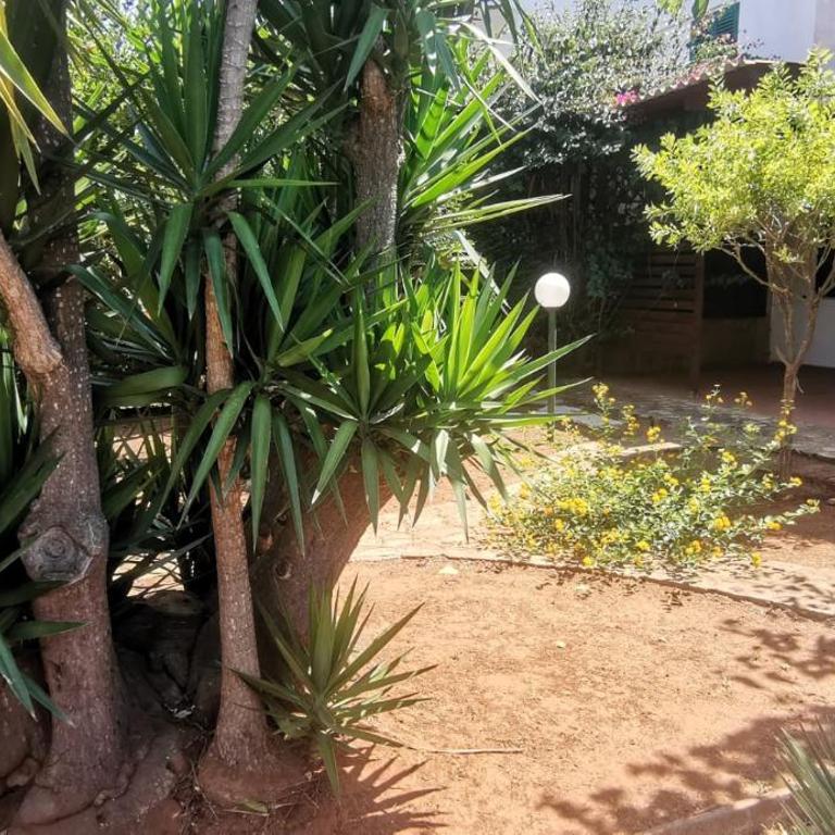 Villette Mar Ionio - Casa con 2 Camere da Letto - 20
