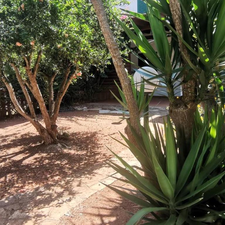Villette Mar Ionio - Casa con 2 Camere da Letto - 23