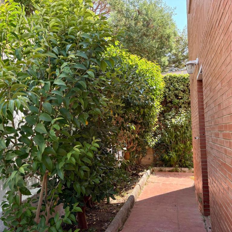 Villa Mediterranea Tossa - Casa de 4 dormitorios - 36