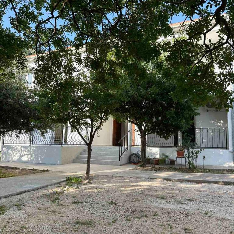 Apartmani Aki 6 - Apartman sa 1 Spavaćom Sobom - 13